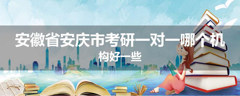 安徽省安庆市考研一对一哪个机构好一些