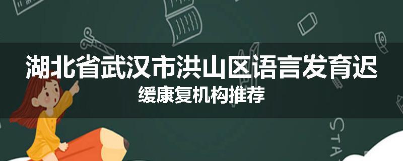 湖北省武汉市洪山区语言发育迟缓康复机构推荐