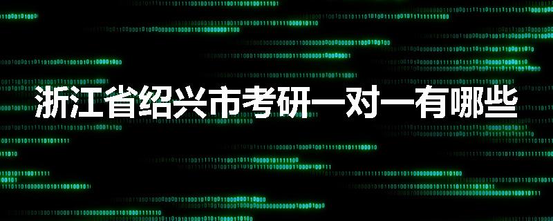 浙江省绍兴市考研一对一有哪些