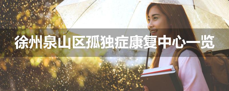 徐州泉山区孤独症康复中心一览