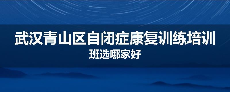 武汉青山区自闭症康复训练培训班选哪家好