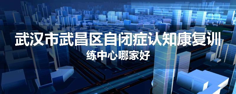 武汉市武昌区自闭症认知康复训练中心哪家好