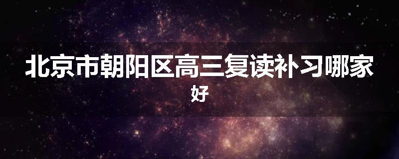 北京市朝阳区高三复读补习哪家好