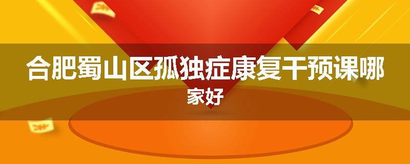 合肥蜀山区孤独症康复干预课哪家好