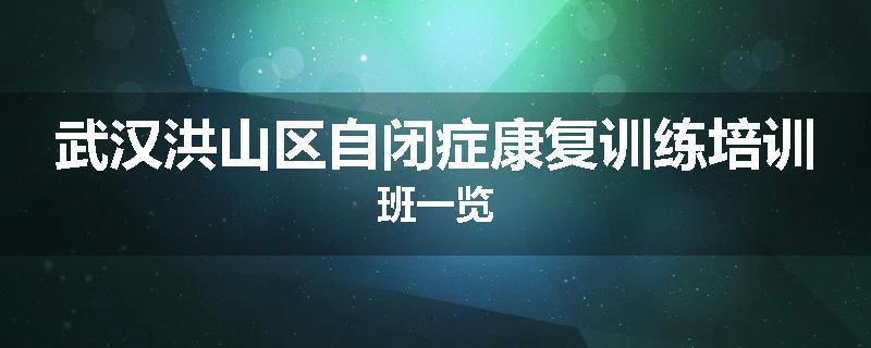 武汉洪山区自闭症康复训练培训班一览