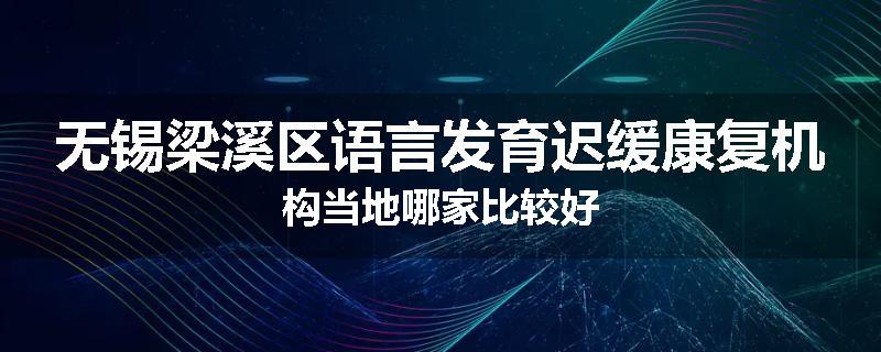 无锡梁溪区语言发育迟缓康复机构当地哪家比较好