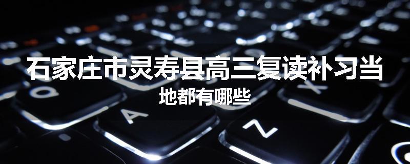 石家庄市灵寿县高三复读补习当地都有哪些