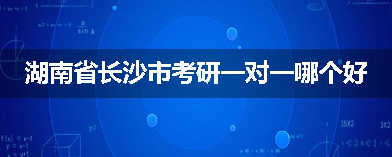 湖南省长沙市考研一对一哪个好
