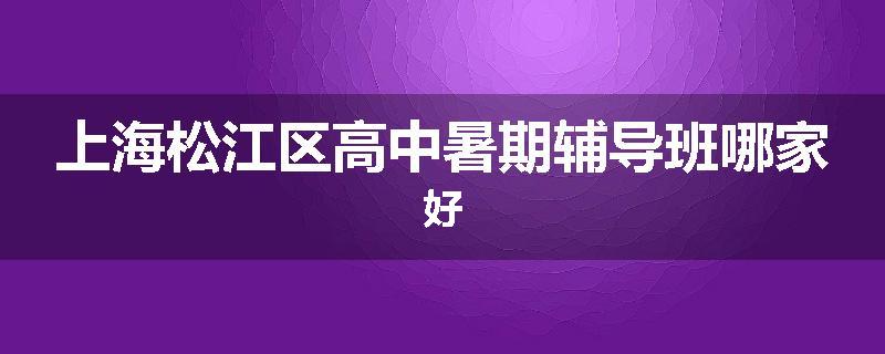 上海松江区高中暑期辅导班哪家好