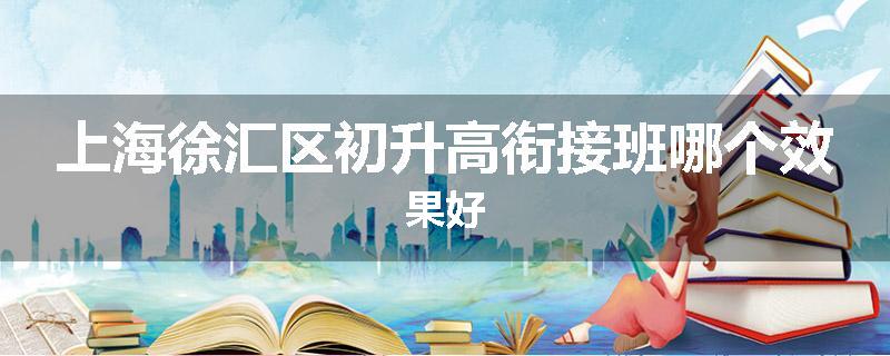 上海徐汇区初升高衔接班哪个效果好