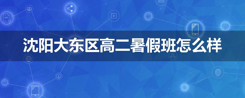 沈阳大东区高二暑假班怎么样