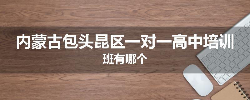 内蒙古包头昆区一对一高中培训班有哪个