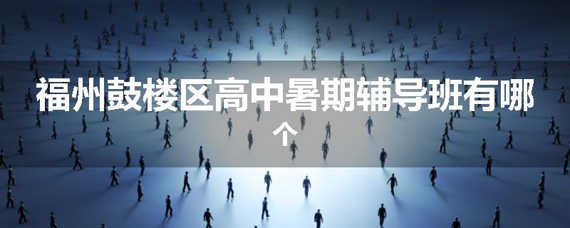 福州鼓楼区高中暑期辅导班有哪个