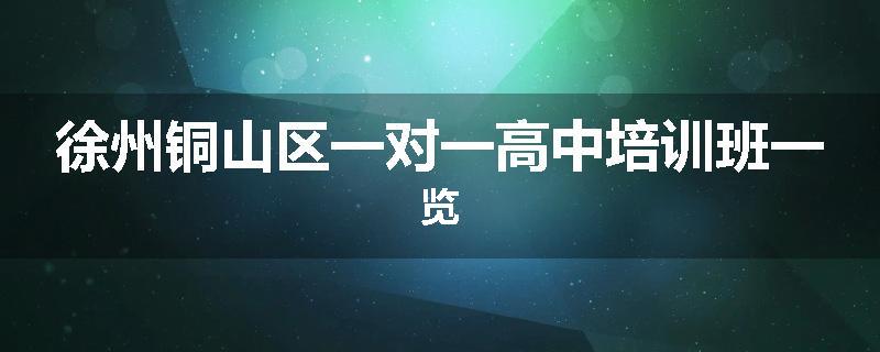 徐州铜山区一对一高中培训班一览