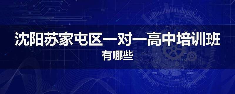 沈阳苏家屯区一对一高中培训班有哪些