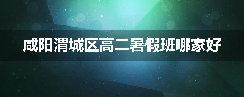咸阳渭城区高二暑假班哪家好