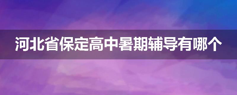 河北省保定高中暑期辅导有哪个