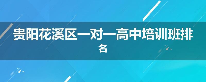 贵阳花溪区一对一高中培训班排名