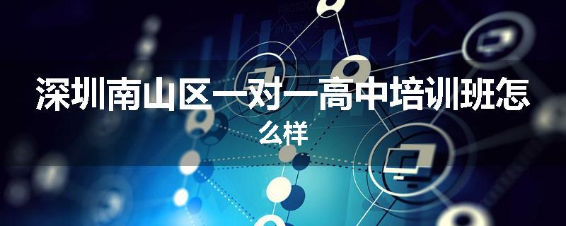 深圳南山区一对一高中培训班怎么样