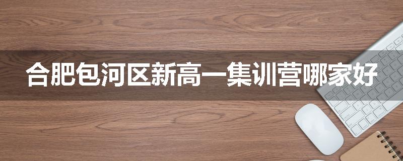 合肥包河区新高一集训营哪家好
