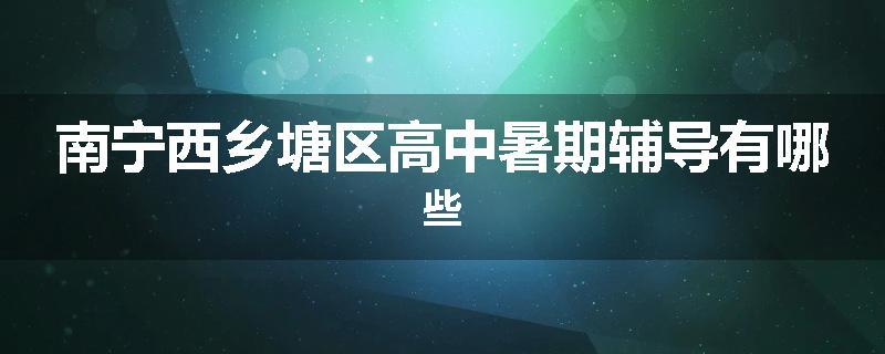 南宁西乡塘区高中暑期辅导有哪些