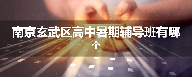 南京玄武区高中暑期辅导班有哪个