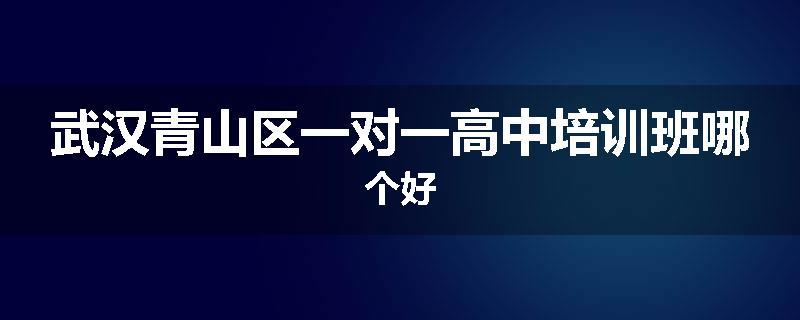 武汉青山区一对一高中培训班哪个好
