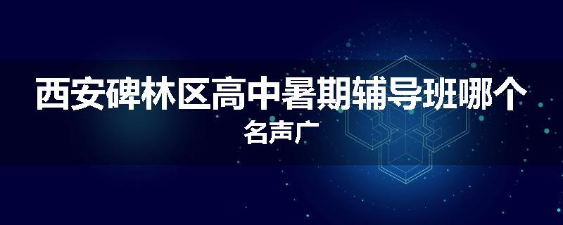 西安碑林区高中暑期辅导班哪个名声广