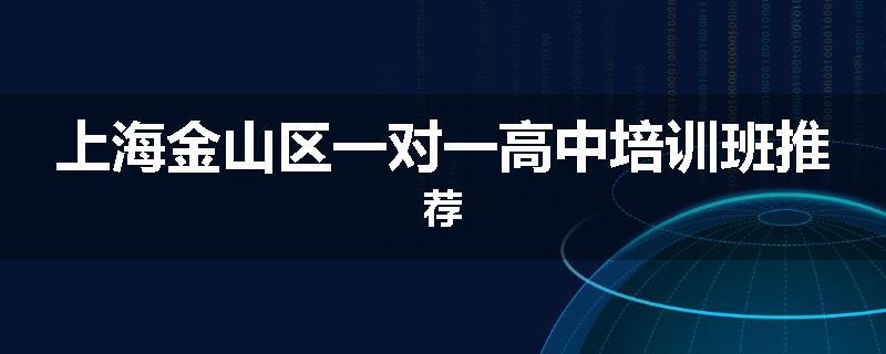上海金山区一对一高中培训班推荐