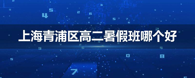 上海青浦区高二暑假班哪个好