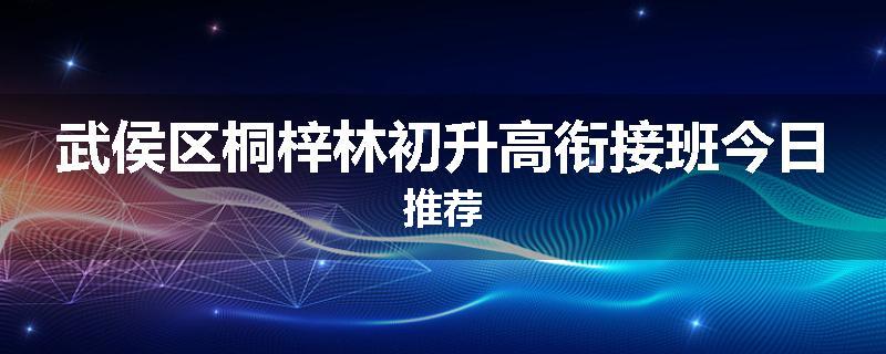 武侯区桐梓林初升高衔接班今日推荐