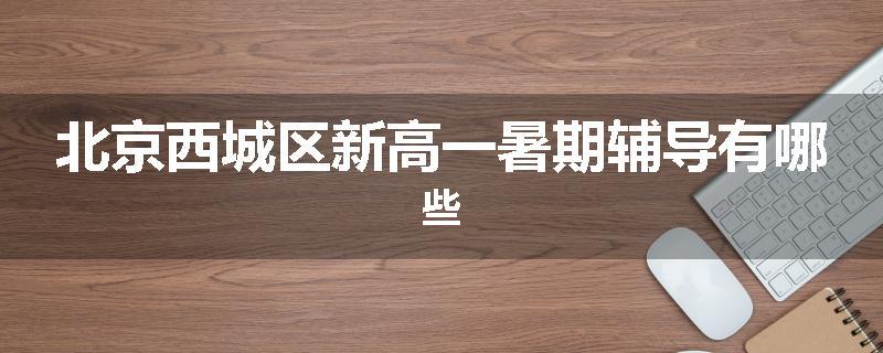 北京西城区新高一暑期辅导有哪些