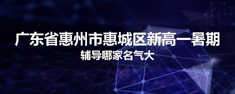 广东省惠州市惠城区新高一暑期辅导哪家名气大