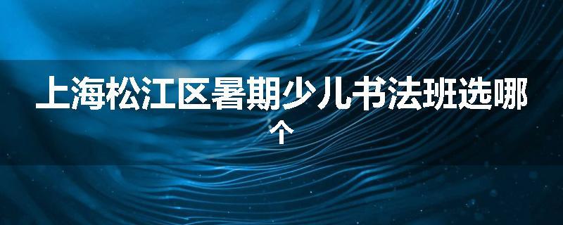 上海松江区暑期少儿书法班选哪个