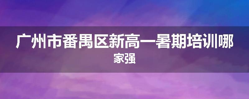 广州市番禺区新高一暑期培训哪家强