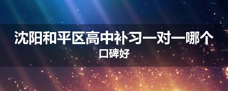 沈阳和平区高中补习一对一哪个口碑好