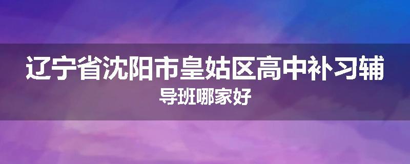 辽宁省沈阳市皇姑区高中补习辅导班哪家好
