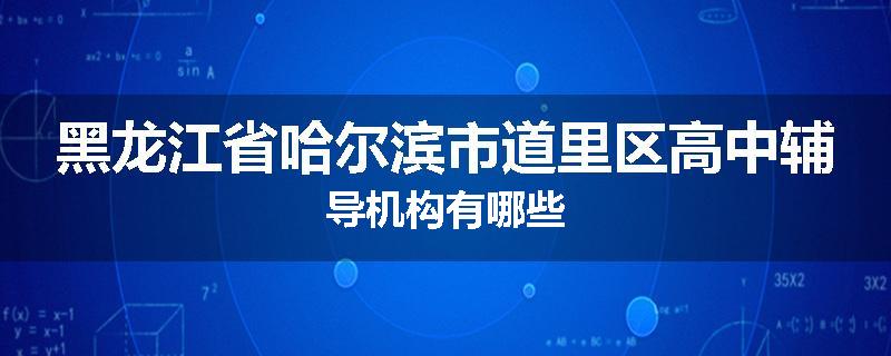 黑龙江省哈尔滨市道里区高中辅导机构有哪些