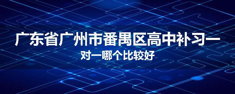 广东省广州市番禺区高中补习一对一哪个比较好