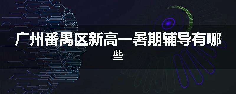 广州番禺区新高一暑期辅导有哪些
