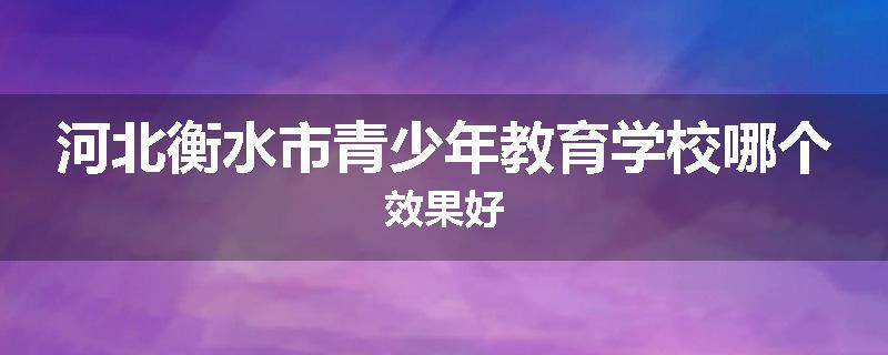 河北衡水市青少年教育学校哪个效果好