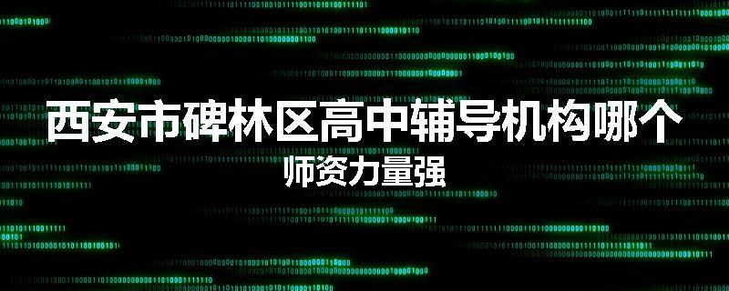 西安市碑林区高中辅导机构哪个师资力量强