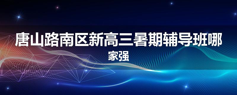 唐山路南区新高三暑期辅导班哪家强