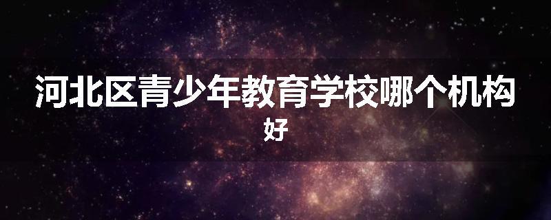 河北区青少年教育学校哪个机构好