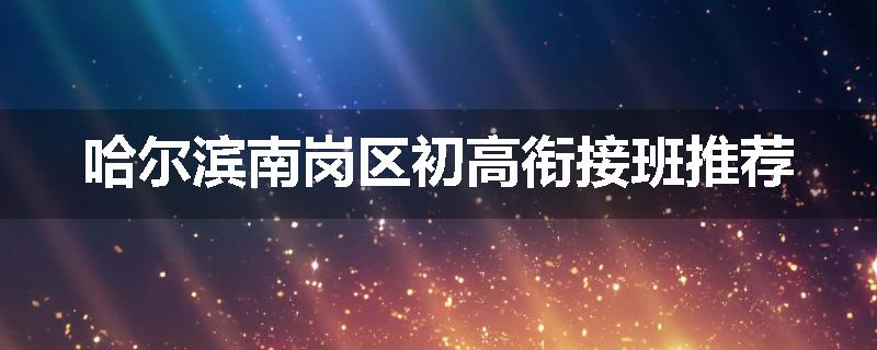 哈尔滨南岗区初高衔接班推荐