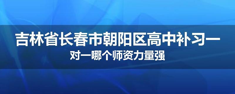 吉林省长春市朝阳区高中补习一对一哪个师资力量强