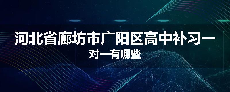 河北省廊坊市广阳区高中补习一对一有哪些
