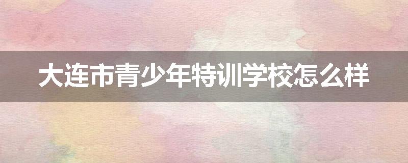 大连市青少年特训学校怎么样