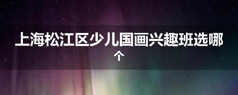 上海松江区少儿国画兴趣班选哪个