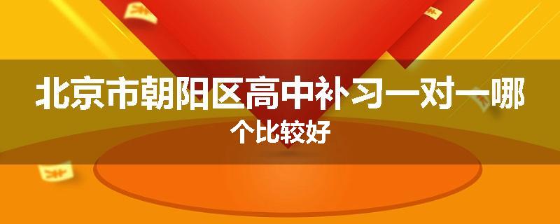 北京市朝阳区高中补习一对一哪个比较好